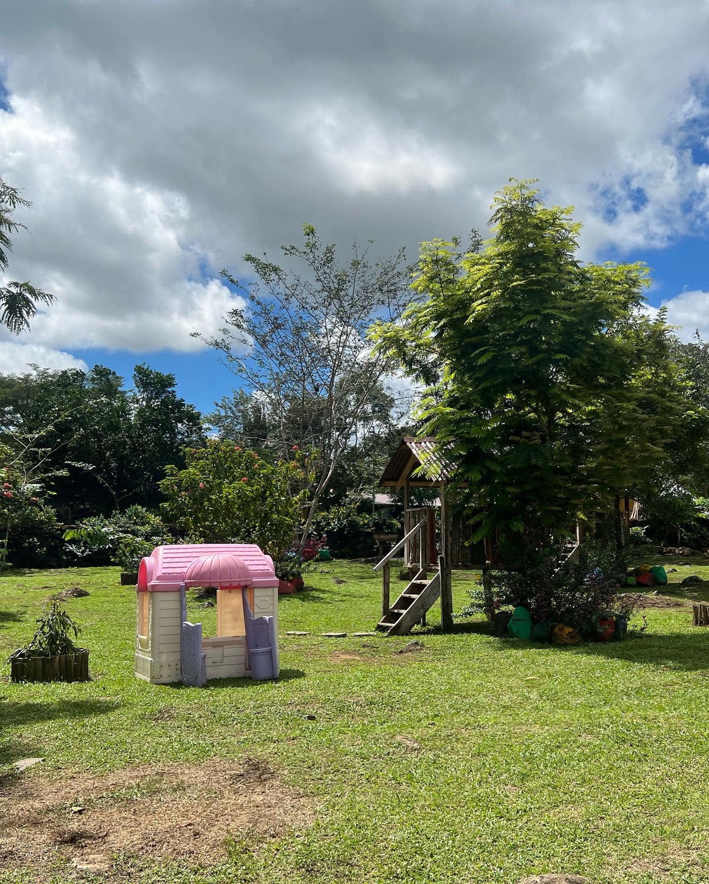 Gazebo en el jardín tropical